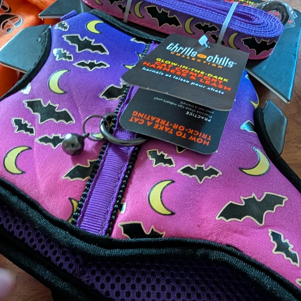 thrills & chills Glow-in-the-Dark Cat Harness & Orange Halloween Cat Shirt Set